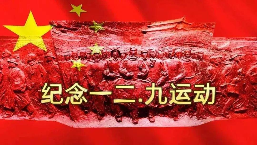 救援可爱的狮子